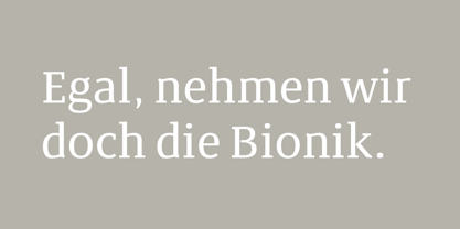 Bionik Font Poster 9