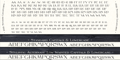 MFC French Roman Font Poster 2