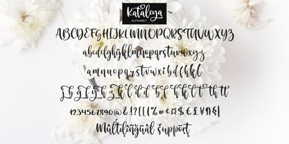 Kataleya Font Poster 10