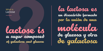 Lactosa Font Poster 4