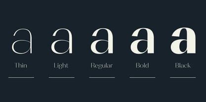 Cosmetic Font Poster 16