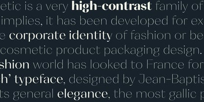 Cosmetic Font Poster 15