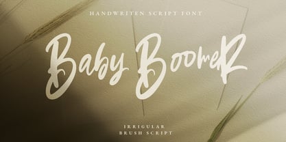 Baby Boomer Font Poster 1