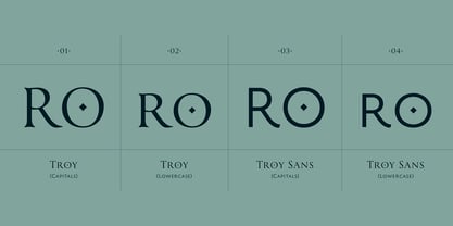 Troy Font Poster 5