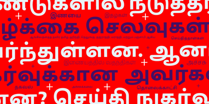 Lisboa Sans Tamil Font Poster 5