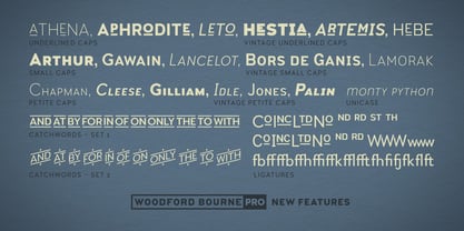 Woodford Bourne PRO Font Poster 7