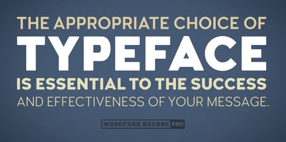 Woodford Bourne PRO Police Affiche 4