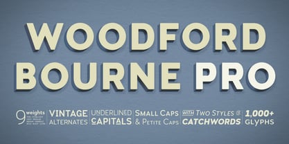 Woodford Bourne PRO Police Affiche 1