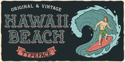 Hawaii Beach Police Poster 3