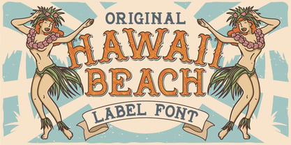 Hawaii Beach Font Poster 1