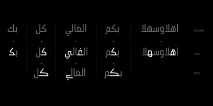 Zawya Pro Arabic Fuente Póster 13