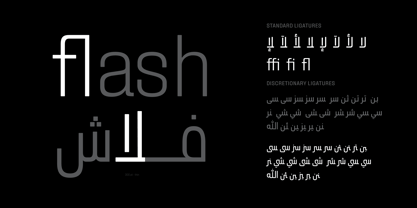Zawya Pro Arabic Font Poster 12