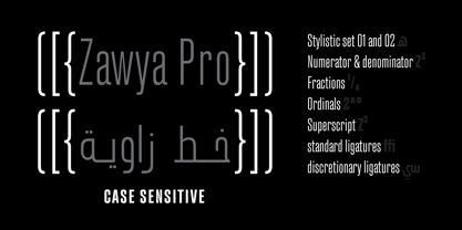 Zawya Pro Arabic Fuente Póster 10