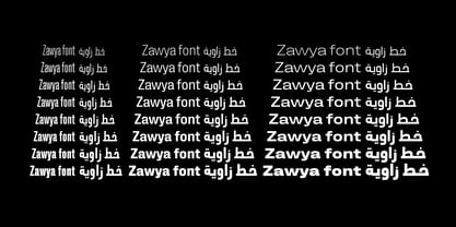 Zawya Pro Arabic Fuente Póster 6
