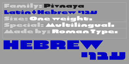 Pivnaya-Hébreu Police Affiche 1