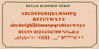 Hello Bloomie Font Poster 10