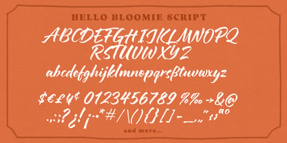 Hello Bloomie Font Poster 8