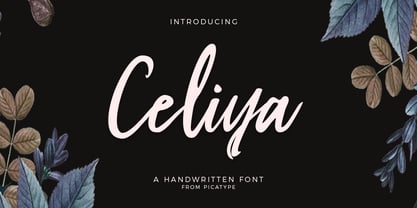 Celiya Script Fuente Póster 1