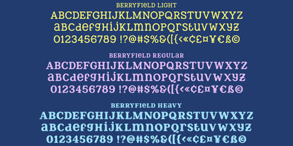 Berryfield Font Poster 2