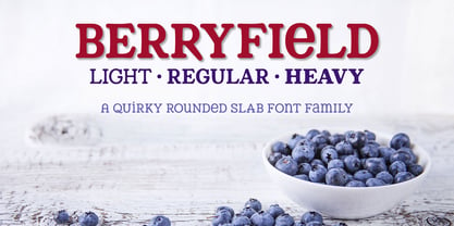 Berryfield Font Poster 1