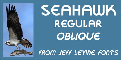 Seahawk JNL Font Poster 1