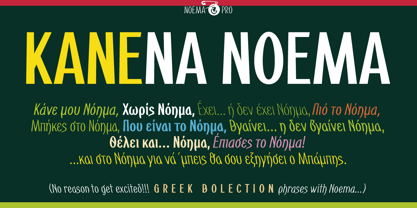 Noema Pro Font Poster 5