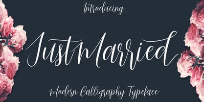 Just Married Font Poster 1