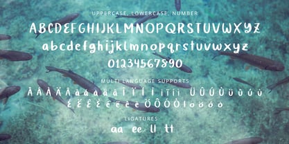 Quiky Font Poster 7