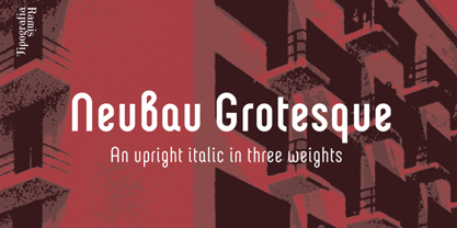 Neubau Grotesque Fuente Póster 1