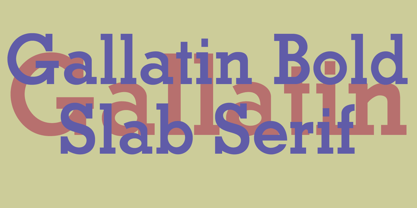 Gallatin Bold Font Poster 5