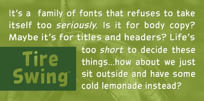 Tire Swing BB Font Poster 5