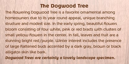 Dogwood Font Poster 6