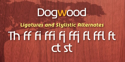 Dogwood Font Poster 5