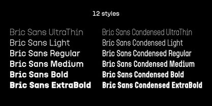 Bric Sans Font Poster 5