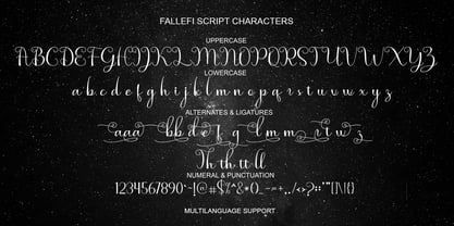 Fallefi Script Font Poster 5