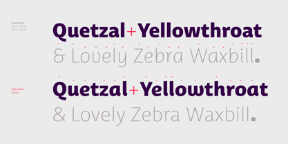 Lakers Font Family : Download Free for Desktop & Webfont