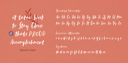 Sachie Script Font Poster 7