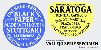 Vallejo Serif Font Poster 2