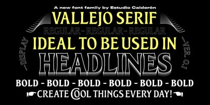 Vallejo Serif Font Poster 1