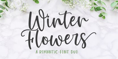 Winter Flowers Font Poster 1