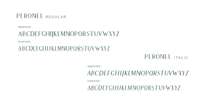Peronel Font Poster 3
