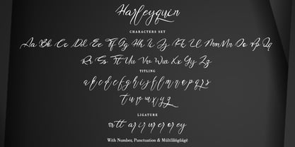 Harleyquin Font Poster 7