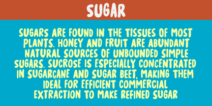 Sugar Free Font Poster 5