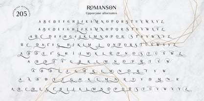 Romanson Font Poster 14