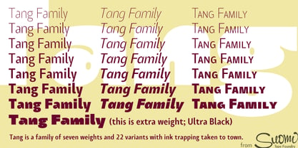 Tang Font Poster 1