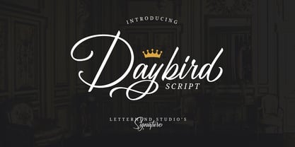Daybird Script Font Poster 1