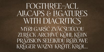 Fogthree Font Poster 4