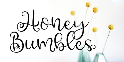 Honey Bumbles Font Poster 1