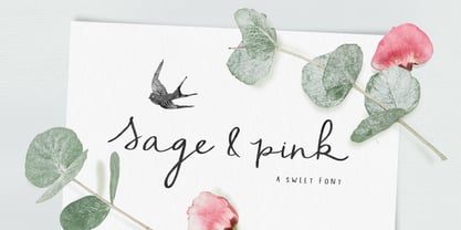 Sage & Pink Fuente Póster 1
