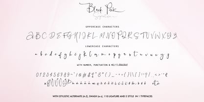 Black Pink Signature Font Poster 7